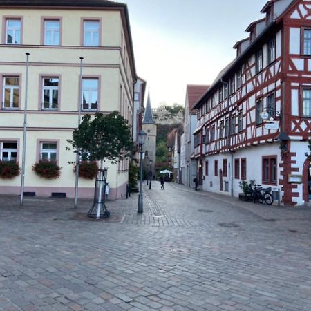 A.M.C. Ferienwohnung Karlstadt Extérieur photo